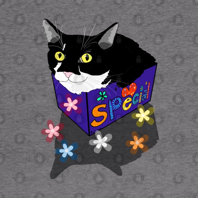 Cute Tuxedo cat sits and fits in a box  Copyright TeAnne by TeAnne